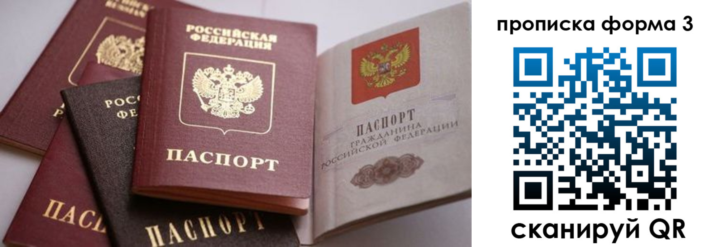 прописка для школы в Владивостоке